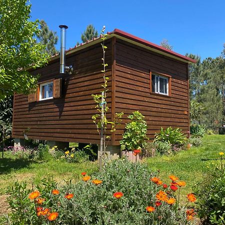 Sertã Casa Cariniヴィラ エクステリア 写真