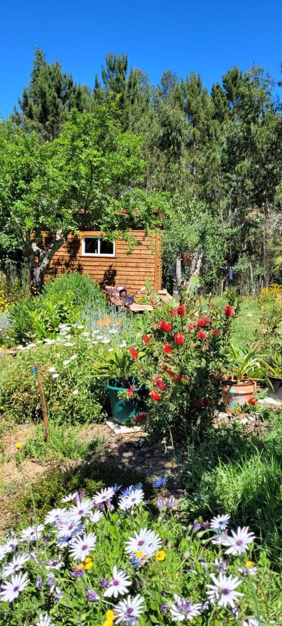 Sertã Casa Cariniヴィラ エクステリア 写真